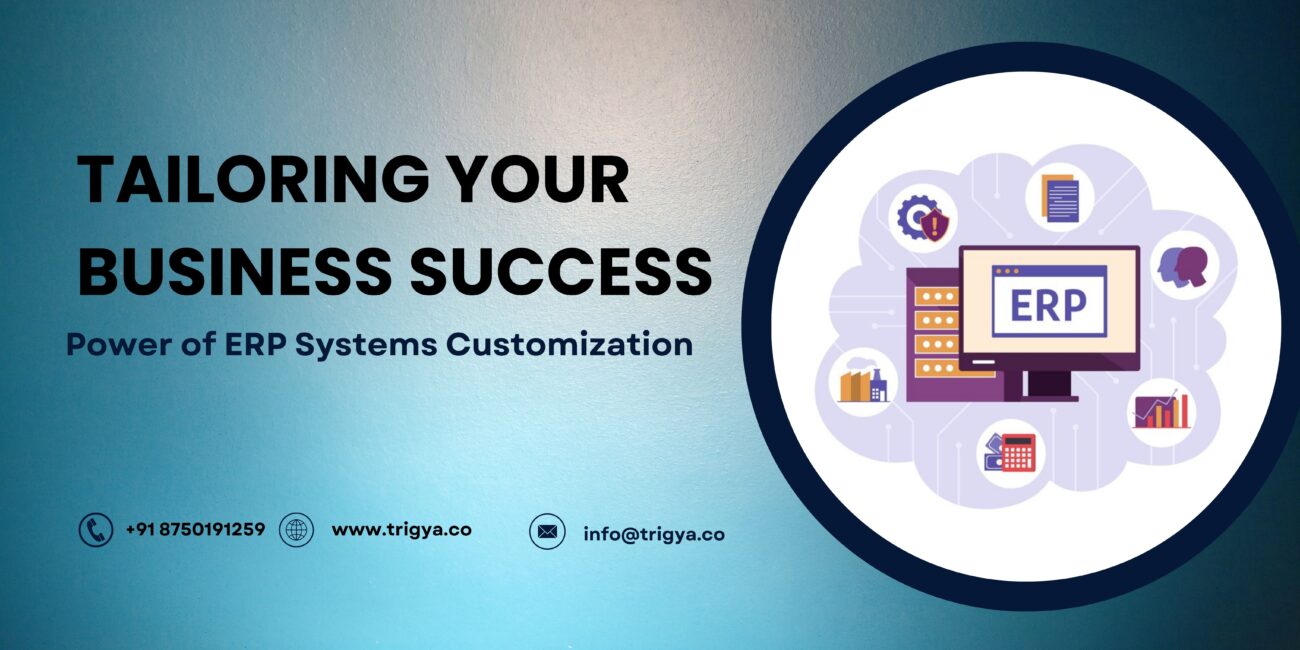 ERP Systems Customization